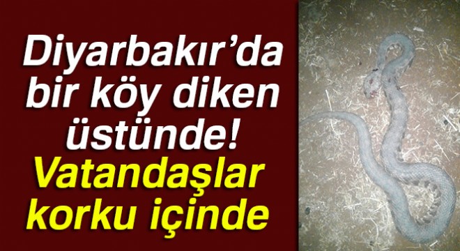 Diyarbakır'da bir köy diken üstünde