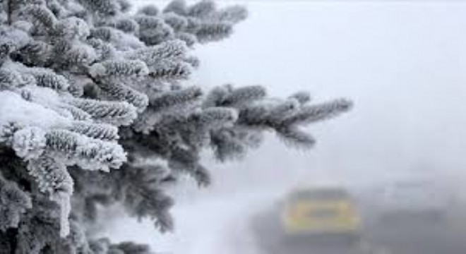 Doğu Anadolu'da Dondurucu Soğuk Etkili Oldu