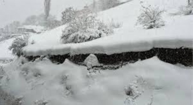 Doğu Anadolu'da Dondurucu Soğuk: Termometreler Eksi 23'te