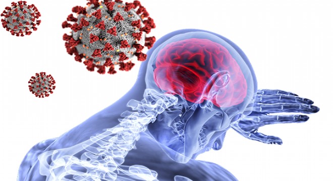 Dünya'da virüsün beyne saldırdığı ikinci vaka İsveç'te tespit edildi