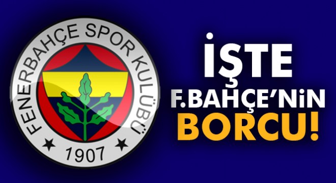 Fenerbahçe'nin borcu 418 milyon 878 bin 868 TL