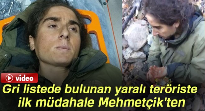 Gri listede bulunan yaralı teröriste ilk müdahale Mehmetçik'ten
