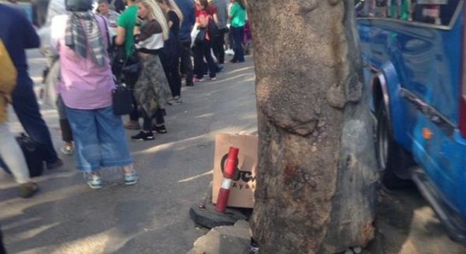 Güvenpark'ta ağaç tehlikesi