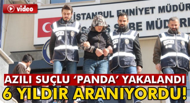 İstanbul'da 'Panda' lakaplı suç makinesi yakalandı