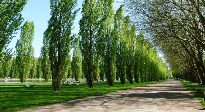 Keşmir'den corona'ya ilginç yöntem