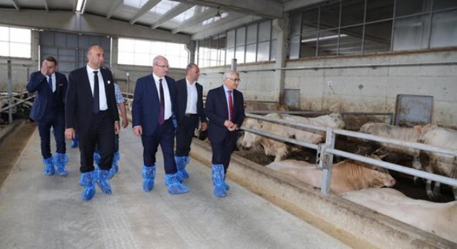 Mars'a da gitsek tarım ve hayvancılık yaparak var olabiliriz