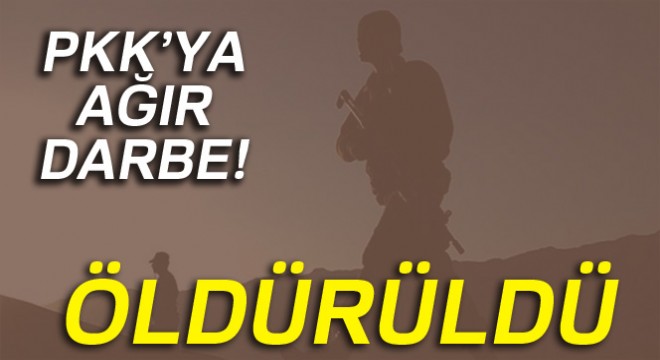 PKK'nın sözde özel güç sorumlusu etkisiz hale getirildi