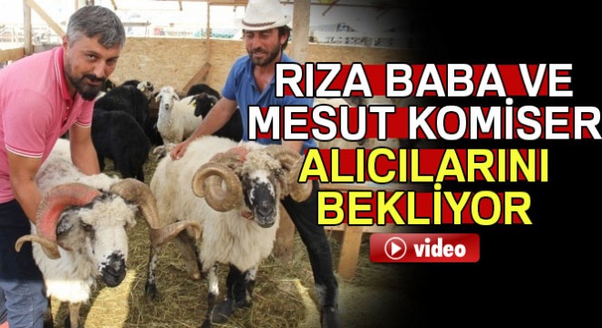 Rıza Baba ve Mesut Komiser alıcılarını bekliyor