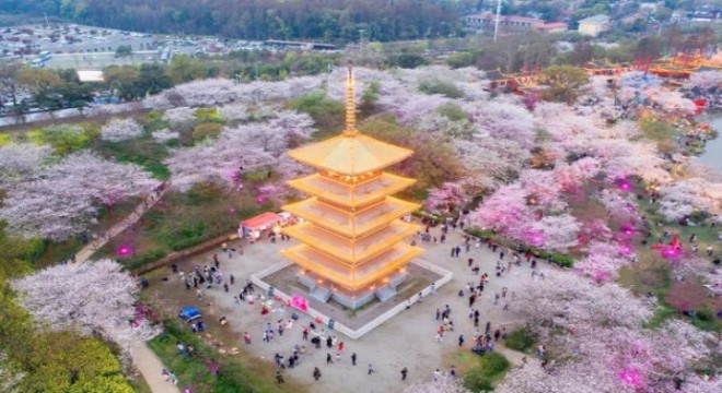 Salgını yenen Wuhan, ‘normale' dönüşünün birinci yılını kutluyor