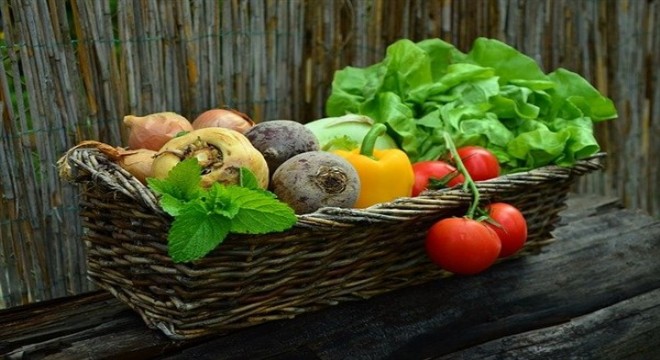 Salmonella'dan korunmak mümkün