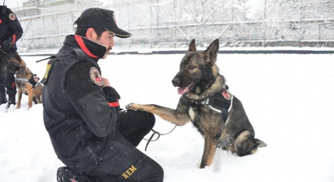 Seepod ve Johny göreve hazır