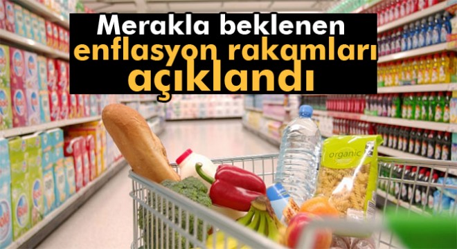 Son dakika! Enflasyon rakamları açıklandı