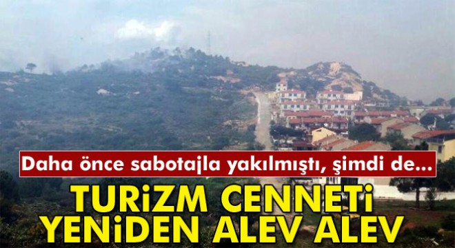 Terör yandaşlarının yaktığı turizm cenneti yeniden alev alev