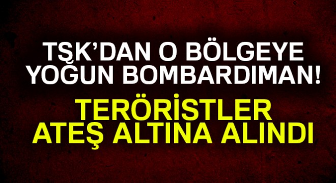 Tunceli'de PKK'ya darbe üstüne darbe