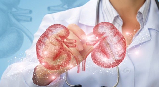 Türkiye'de her 7 yetişkinden biri böbrek hastası