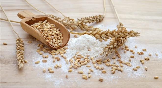 Türkiye'nin un ihracatı son 10 yılda yüzde 60'ın üzerinde artış gösterdi