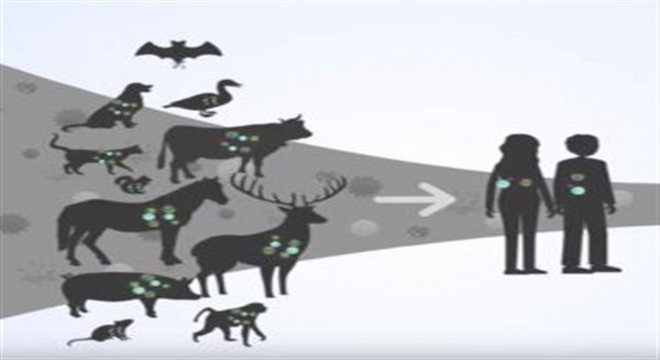 Virüs avcıları dünya'nın virüs haritasını çıkaracak