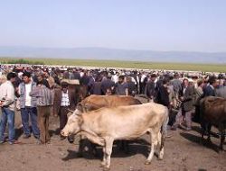 Besiciler Et Fiyatları için Ankara'da