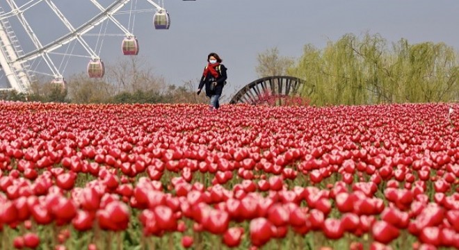Üç günlük bayram tatili, Çin'e 4 milyar dolarlık turizm geliri bıraktı